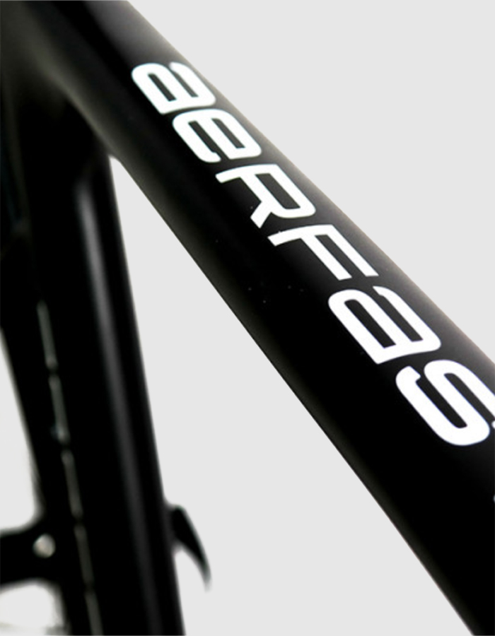 Frame detail Storck - Racing bikes of 2021